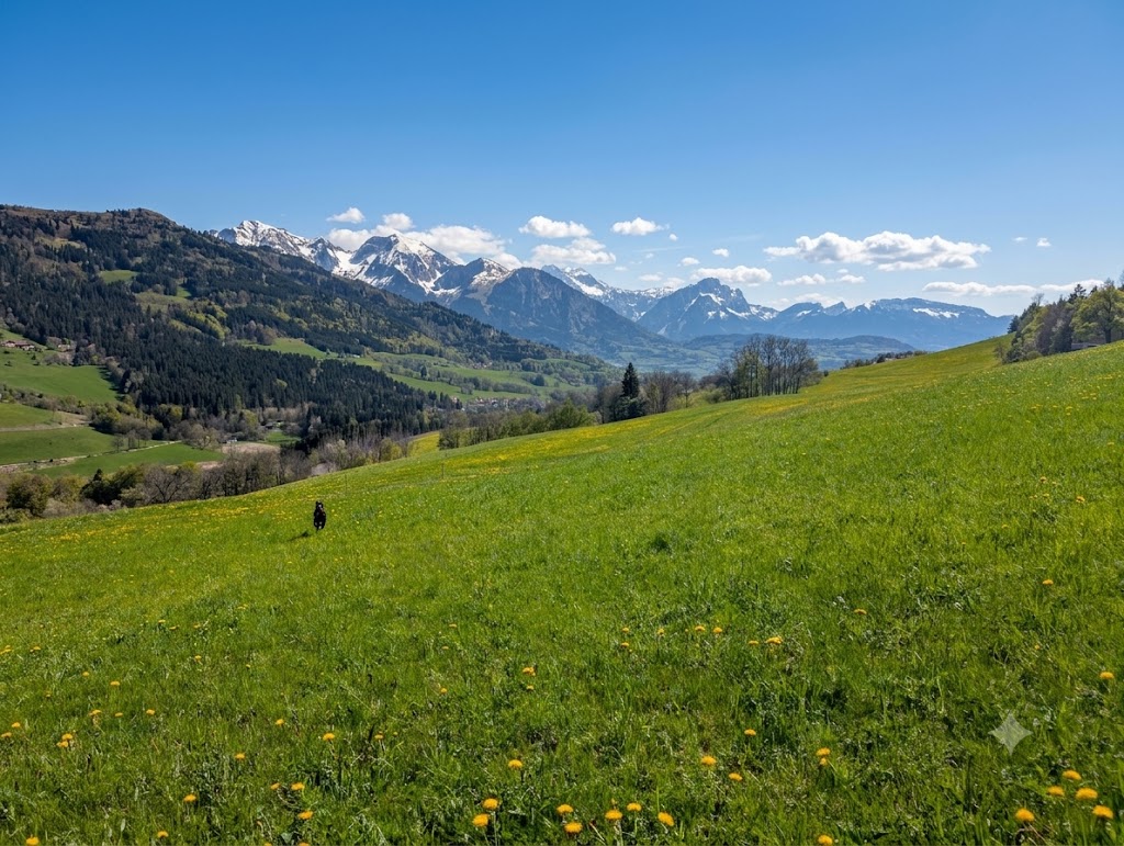 Vue sur le massif des Brasses depuis le dojo